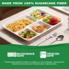 100% Compostable 5 Compartment Plates - 100 Pack Heavy Duty Lunch Trays, 12.5x8.6 Inch Disposable Bagasse Plates for School, Party, Buffet | Eco-Friendly Paper Trays with Dividers view 3