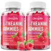 GrnLife 2 Pack L-Theanine Gummies for Kids & Adults, L'Theanine 400mg with Ashwagandha, GABA, 5HTP, L Theanine Supplement for Calm, Zzz & Relaxation Support, Raspberry Flavor, 120 Counts view 1