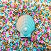 Starfish, Ocean Themed Sprinkle Mix and ONE Seashell Cab, Polymer Clay Fake Sprinkles, Decoden Funfetti Jimmies rdnqu (Bag: 30 Grams) view 1