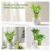 Lucky Bamboo Plants Live Indoor (10 Stalks, 4 Inch) - Fresh House Plants for Office Desk, Home Decor, for Positive Energy, Prosperity & Easy Care view 4