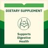 Probiotic Multi-Enzyme Digestive Formula Tablets 200 Count Supports Digestion, Bloating & Gut Health view 4