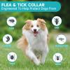 Flea and Tick Prevention for Dogs, 4-Pack Flea Collars, 32 Months, Grey view 2