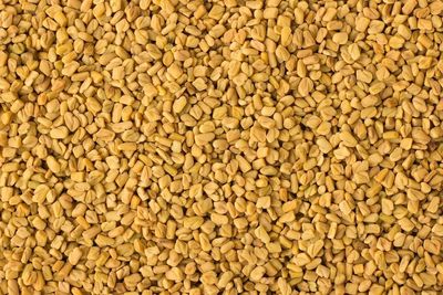 Fresh Organic Fenugreek Seeds (Dana Methi) 2 Pounds