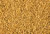 Fresh Organic Fenugreek Seeds (Dana Methi) 2 Pounds view 1