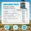 L-Glutamine Gummies 1000mg with BCAA, Potassium, Magnesium & Vitamin C, Muscle Recovery, Endurance Support & Daily Nutrition, Portable Supplement for MenWomen, Lime Grapefruit Flavor, 120 Count view 3