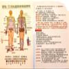 20 Self-Heating Ginger Patch for Lymph, Promote Blood Circulation, Pain Relief Hot Compress Pad (8cmx12cm) view 3