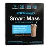 PEScience Smart Mass Gainer, Gourmet Chocolate, 14 Packets view 1