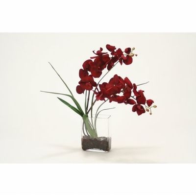 Distinctive Designs International Red Velvet Phalaenopsis Orchid in Glass Vase