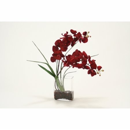 Distinctive Designs International Red Velvet Phalaenopsis Orchid in Glass Vase