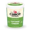 Cottage Cheese view 1