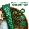 1950 Jeju Original Green Tea Toothpaste, Jeju Green Tea, Fluoride-Free Natural Formula with Hydroxyapatite, Sensitive Teeth, Gum Care, Brightening, Remineralizing, SLS-Free, Green Tea Taste (3.5 oz) view 2