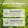 1950 Jeju Original Green Tea Toothpaste, Jeju Green Tea, Fluoride-Free Natural Formula with Hydroxyapatite, Sensitive Teeth, Gum Care, Brightening, Remineralizing, SLS-Free, Green Tea Taste (3.5 oz) view 3