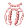 20 Wheels Relax Roller Massage Roller Muscle Relaxer Manual Sturdy Massage Tool Equipment for Fitness Thigh Arm- view 3