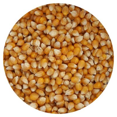 Mushroom Popcorn Kernels, 4 Pound Bulk Bag, Popcorn Kernels For Popcorn Machine, The Hampton Popcorn Company