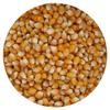 Mushroom Popcorn Kernels, 4 Pound Bulk Bag, Popcorn Kernels For Popcorn Machine, The Hampton Popcorn Company view 1