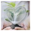 DIOBFZFY 1pc 120-150g Bowl White Gypsum Heart Moon Minerals Stone Seven Decor Crafts Ornaments Gem view 3