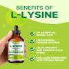 LAMGINY L-lysine 1000mg Supplement, Liposomal Lysine Liquid Drops for Adults, Essential Amino Acid - Immune Support, Skin & Lip Health, Collagen Synthesis, Vegan, Non-GMO & Gluten-Free, 4 fl oz view 2