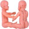 Children's Massage Acupuncture Point Model Human Acupuncture Baby Model,50Cm Paediatric Massage Model Chinese Medicine U view 1