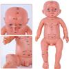 Children's Massage Acupuncture Point Model Human Acupuncture Baby Model,50Cm Paediatric Massage Model Chinese Medicine U view 3
