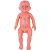 Children's Massage Acupuncture Point Model Human Acupuncture Baby Model,50Cm Paediatric Massage Model Chinese Medicine U view 4