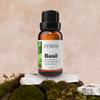 Zynda Basil Essential Oil 100% Pure & Natural Premium Aromatherapy Oil for Diffuser, Massage, Relaxation & Culinary Use Steam Distilled Uncut Basil Essential Oil Organic, 10ml view 2