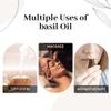 Zynda Basil Essential Oil 100% Pure & Natural Premium Aromatherapy Oil for Diffuser, Massage, Relaxation & Culinary Use Steam Distilled Uncut Basil Essential Oil Organic, 10ml view 3