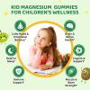 2 Pack Center-Filled Magnesium Glycinate Gummies for Kids - Magnesium Supplement Gummes with L-Theanine, Chamomile & Multivitamins for Sleep, Calm & Focus, Melatonin-Free - Green Apple & Kiwi, 60 CT view 3