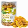 Golden Raisins Snacks - Seedless Dried Grapes, No Sugar Added, Non-GMO, Preservative-Free | Naturally Sun-Dried | Large size, 100% Natural On-the-Go Snack for Salad, Baking, Dessert (10.58oz view 1