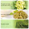 Golden Raisins Snacks - Seedless Dried Grapes, No Sugar Added, Non-GMO, Preservative-Free | Naturally Sun-Dried | Large size, 100% Natural On-the-Go Snack for Salad, Baking, Dessert (10.58oz view 2