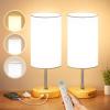 10000 Lux Light Therapy Lamp, Full Spectrum &UV-Free Happy Lamp, Sun Light Therapy Lamps with Remote, 3 Color Temperatures &Stepless Dimming &Timer, Daylight Lamps for Home, Office view 1