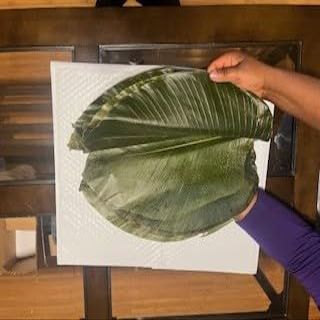 30 PIECES OF ORGANIC MOI MOI LEAVES