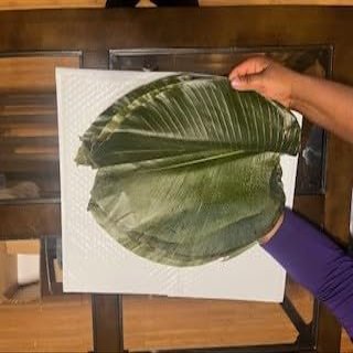 30 PIECES OF ORGANIC MOI MOI LEAVES
