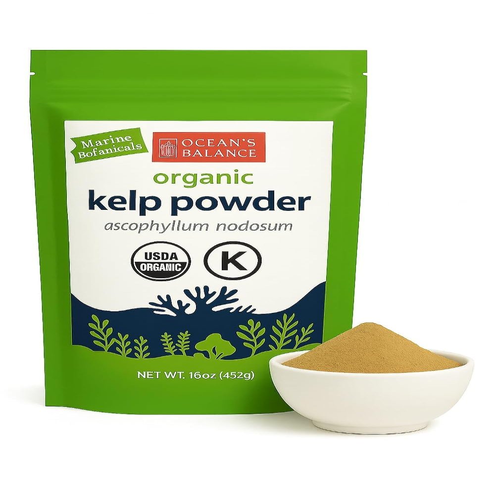 Oceans Balance Clean Wildcrafted Kelp Powder (Ascophyllum nodosum) from the Gulf of Maine | Rich in Iodine & 70+ Minerals | Supports Metabolism, Skin, & Immunity | Fathers Day Gift for Dad, Husband & Grandpa 16 oz