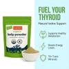 Oceans Balance Clean Wildcrafted Kelp Powder (Ascophyllum nodosum) from the Gulf of Maine | Rich in Iodine & 70+ Minerals | Supports Metabolism, Skin, & Immunity | Fathers Day Gift for Dad, Husband & Grandpa 16 oz view 3