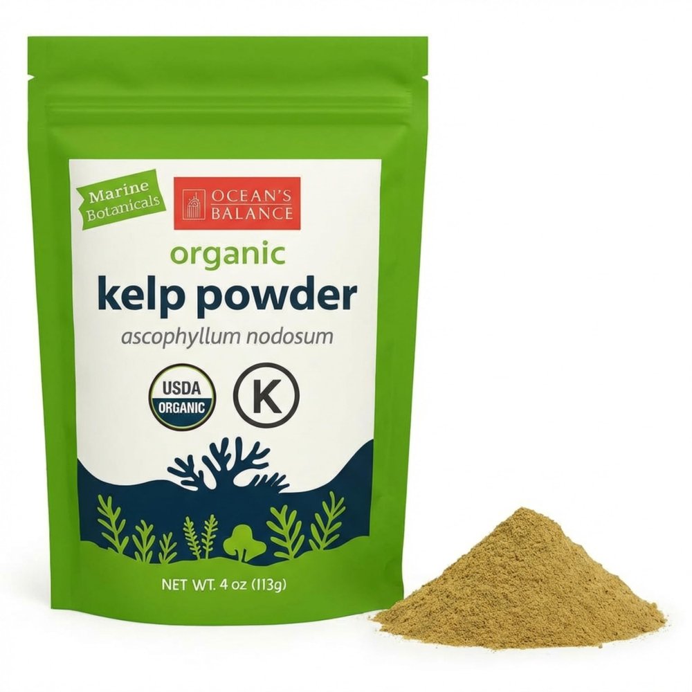 Oceans Balance Clean Wildcrafted Kelp Powder (Ascophyllum nodosum) from the Gulf of Maine | Rich in Iodine & 70+ Minerals | Supports Metabolism, Skin, & Immunity | 4oz Vegan