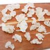 DABC OAK LAND 2 Pounds Natural Wild Tragacanth Gum Snow Swallow (Xueyan) 2 X 16OZ bags, Packed in USA view 3