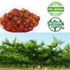 DABC OAK LAND 2 LB Wild Peach Gum, 100% Natural Edible Peach Blossom, Tears Tao Jiao Peachs Resin, Collagen Boosting for Skin Health, Food Additives Free for Dessert, Drink, Soup, Tea, 2 X1LB/Bag view 2