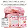 BAYUEDEGUA-Freeze dried peach 90g/3.17oz Crispy fruit slices,Gluten free,Low calorie,Vegan.Dessert embellishment,Tea drinks,Baking,Breakfast pairing.Suitable for fitness enthusiasts and health seekers. view 4