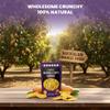 Baked Mango Chips by Nakihalani Farm (2.8 oz) - Crunchy Dried Snacks for Adults and Kids, Non-GMO, Gluten-Free & Vegan Snacks Dried Mango Slices in Resealable Bag view 4