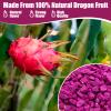7oz Freeze Dried Dragon Fruit Pieces - 100% Natural Crispy Dry Fruit Flakes, No Gluten, Dried Pitaya for Baking, Travel, Smoothies, Yogurt view 3