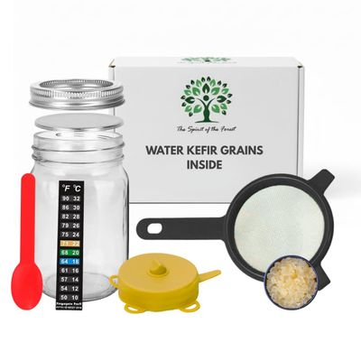 The Spirit Of The Forest Water Kefir Starter Set Fermented Probiotic Drink - Sparkling Water Seltzer - ENDLESS DORMANT Kefir Grains, Gluten Free Vegan Culture For DIY Dairy Free