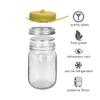 The Spirit Of The Forest Water Kefir Starter Set Fermented Probiotic Drink - Sparkling Water Seltzer - ENDLESS DORMANT Kefir Grains, Gluten Free Vegan Culture For DIY Dairy Free view 2