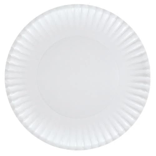 EcoQuality 9 inch White Round Paper Dinner Plates Disposable Party Plates for Lunch, Dinner, Weddings, Birthdays, Catering, and Events (240)