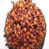 Nagkesar/Iron Wood Tree/Mesua ferrea (1 Kg) view 1