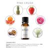 Airlux Signature Aroma Oil No. 39 Pink Crush Passionfruit, Grapefruit, Pineapple Aroma Oil for Cold Air & Waterless Diffusers and DIY Crafts 10 mL, 0.34 fl oz Glass Bottle view 2
