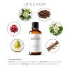 Airlux Signature Aroma Oil No. 034 Opus Noir Aroma Oil for Cold Air & Waterless Diffusers and DIY Crafts 30 mL, 1.0 fl oz Glass Bottle view 2