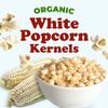 Food to Live Organic White Popcorn Kernels, 12 Pounds Hulless Uncooked Whole Corn Ideal for Popping. USA Grown, USDA Certified. Non-GMO, Vegan, Kosher, Bul view 3