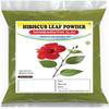 Hibiscus Leaf Powder 100g | Sembaruthi Leaf Powder | Hibiscus rosa sinensis Leaf view 1