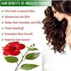 Hibiscus Leaf Powder 100g | Sembaruthi Leaf Powder | Hibiscus rosa sinensis Leaf view 2