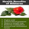 Hibiscus Leaf Powder 100g | Sembaruthi Leaf Powder | Hibiscus rosa sinensis Leaf view 3